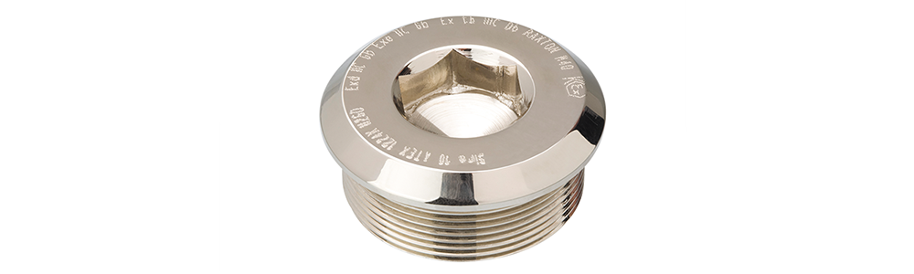 Type CQ Raxton dome head stopping plug