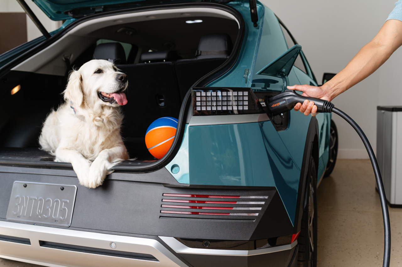 ev passenger vehicle webinar