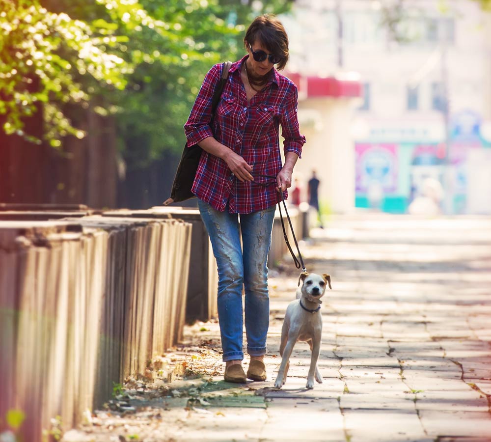 pretty-woman-dog-walking-city-park-1525704683