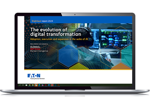 brightlayer-report-digital-evolution report 2024