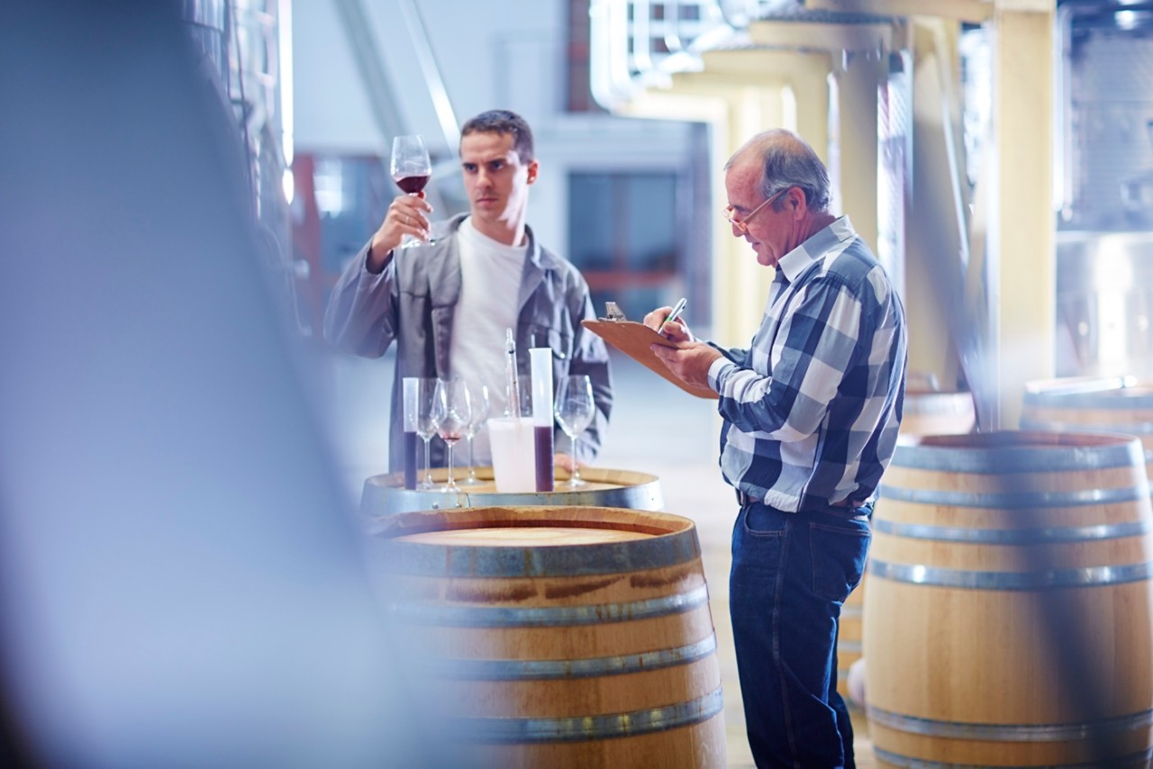 Wine maker testing wine blend