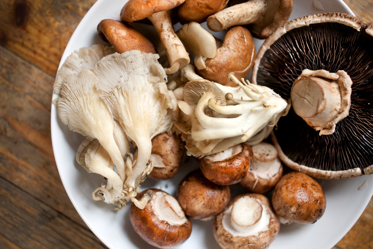 Assortment of fresh mushrooms