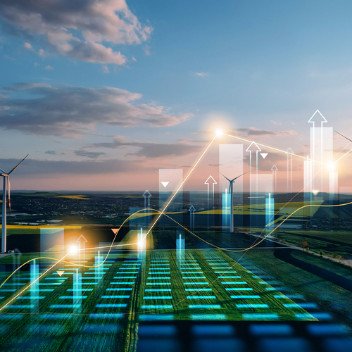 Grid edge whitepaper